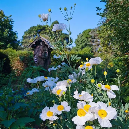 The Garden House At Kilmokea Gardens * Fisherstown