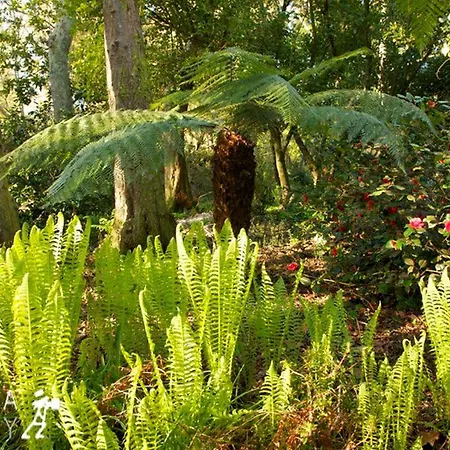 The Garden House At Kilmokea Gardens * Fisherstown